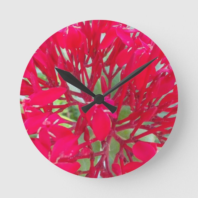 Schöne Blume Milkweed Art Print/Graphic Runde Wanduhr (Vorderseite)