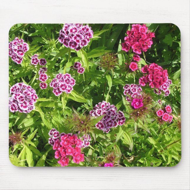 schöne Blume, Narben Mousepad (Vorne)
