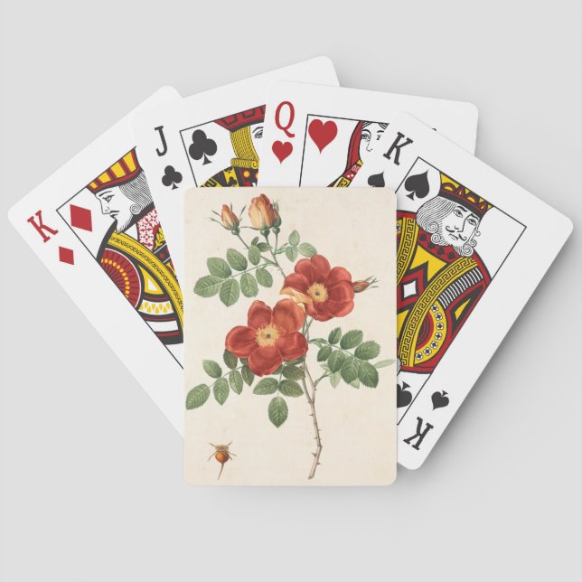 Schöne Blume Pflanze   Spielkarten (Rückseite)