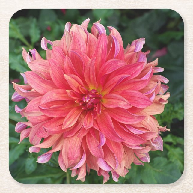 Schöne Blume Rechteckiger Pappuntersetzer (Vorderseite)