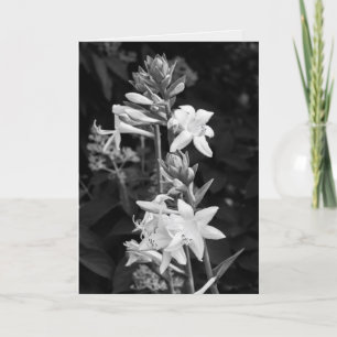 Schöne Blume Schwarz-Weiß-Muttertag Karte