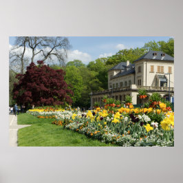 Schöne Blume und das Haus Poster