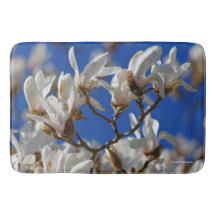 Schöne Blume von White Magnolia Sargentiana