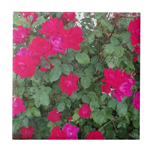 Schöne Blumen Fliese (Vorderseite)