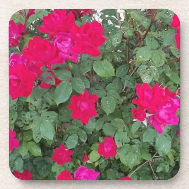 Schöne Blumen Getränkeuntersetzer (Vorderseite)