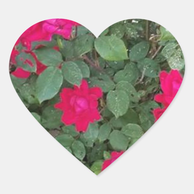 Schöne Blumen Herz-Aufkleber (Vorderseite)