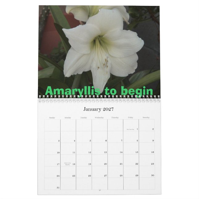 Schöne Blumen Kalender (Jan 2027)