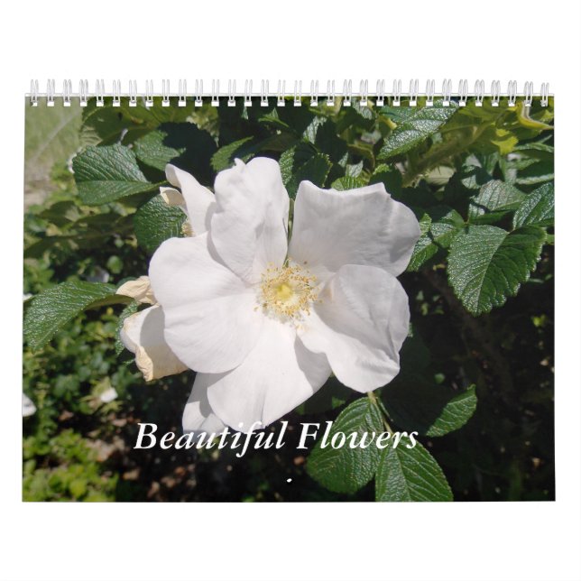 Schöne Blumen Kalender (Titelbild)