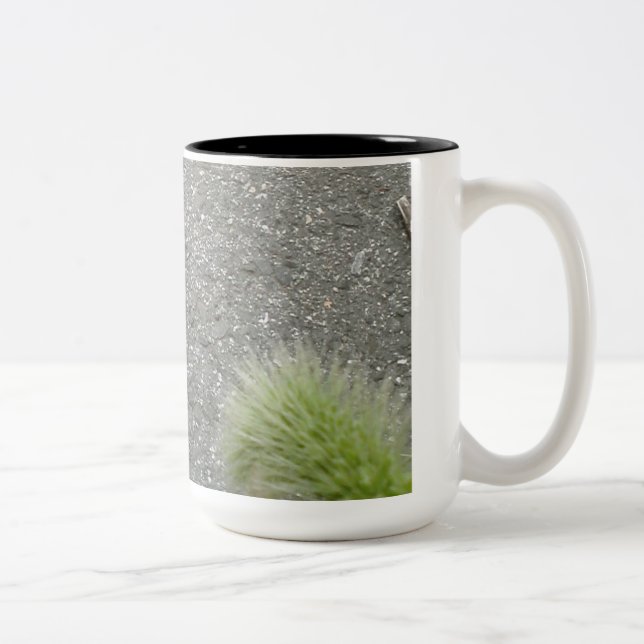 Schöne BlumenTasse Zweifarbige Tasse (Rechts)