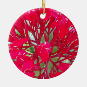 Schöne Blutblumen-Seidenpflanze Kunst Druck/Grafik Keramikornament