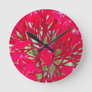Schöne Blutblumen-Seidenpflanzen-Kunst druck/Grafi Runde Wanduhr