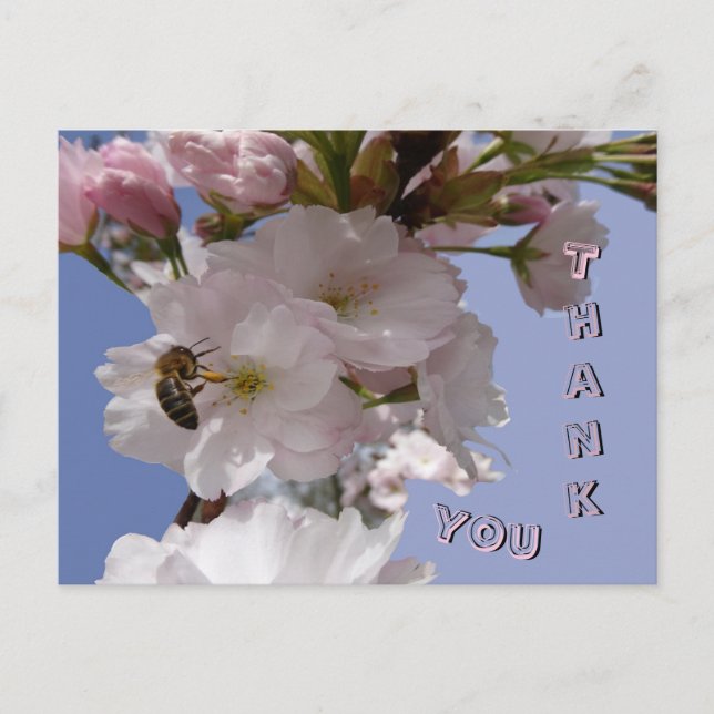 Schöne Blüten mit Biene Vielen Dank Postcard Postkarte (Vorderseite)