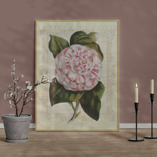 Schöne botanische Camellia-Blumen-Drucke Poster