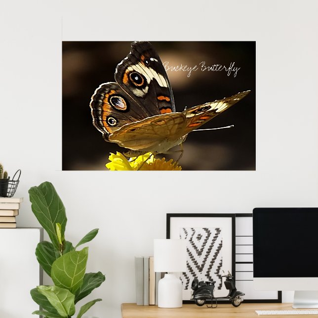 Schöne Buckeye Butterfly auf der Gelben Blume Poster (Heimbüro)