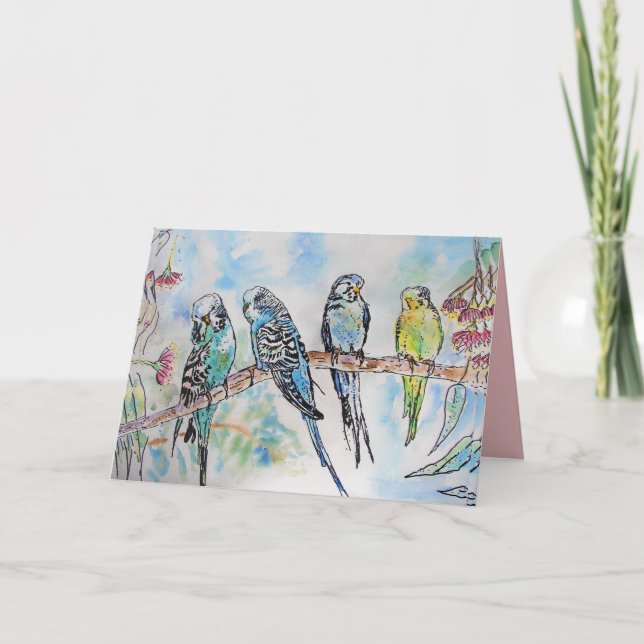 Schöne Budgien Budgerigars und Gum Blossom Card Karte (Vorderseite)