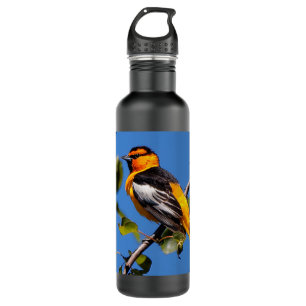 Schöne Bullock's Oriole der Birne Edelstahlflasche