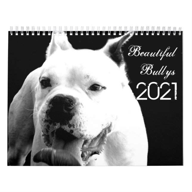 Schöne Bullys 2021 Hundekalender Kalender (Titelbild)