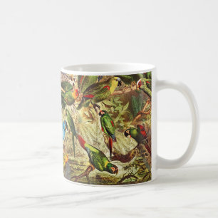 Schöne bunte grüne tropische Vögel Papageien Kaffeetasse