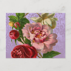 Schöne bunte Rosen Postkarte