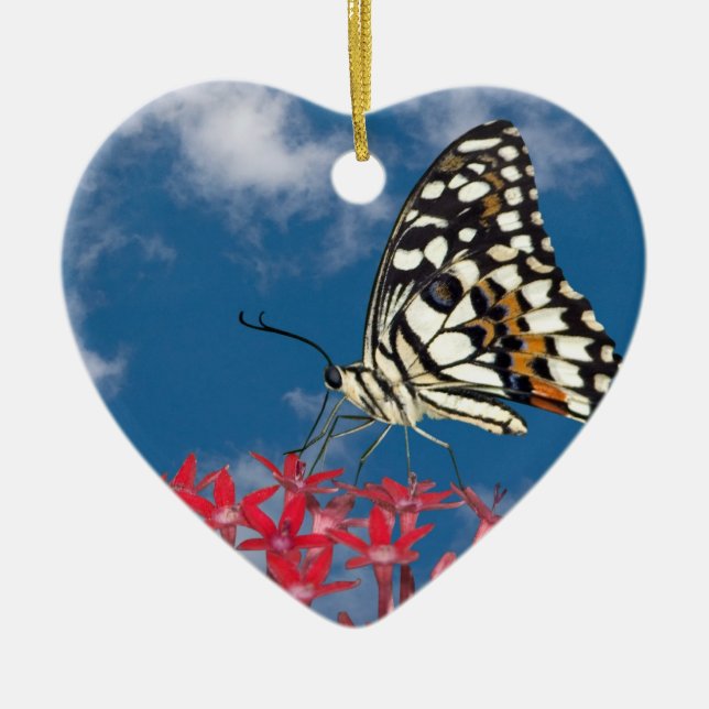 Schöne Butterfly Keramik Ornament (Vorne)