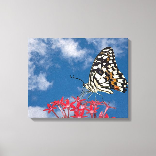 Schöne Butterfly Leinwanddruck (Vorderseite)