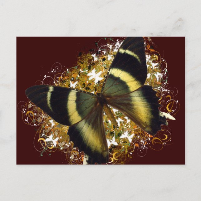 Schöne Butterfly Postkarte (Vorderseite)