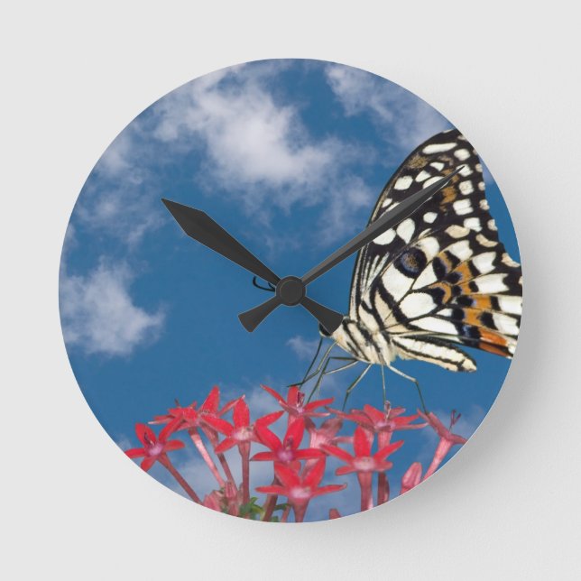 Schöne Butterfly Runde Wanduhr (Vorderseite)
