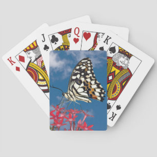 Schöne Butterfly Spielkarten