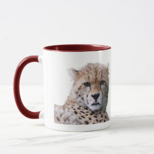 Schöne Cheetah Schöne Cat Foto Tasse