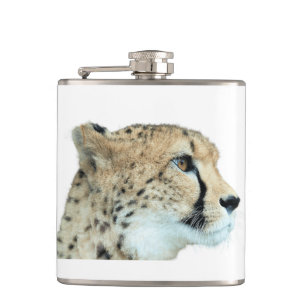 Schöne Cheetah Schönes Cat Foto Flachmann