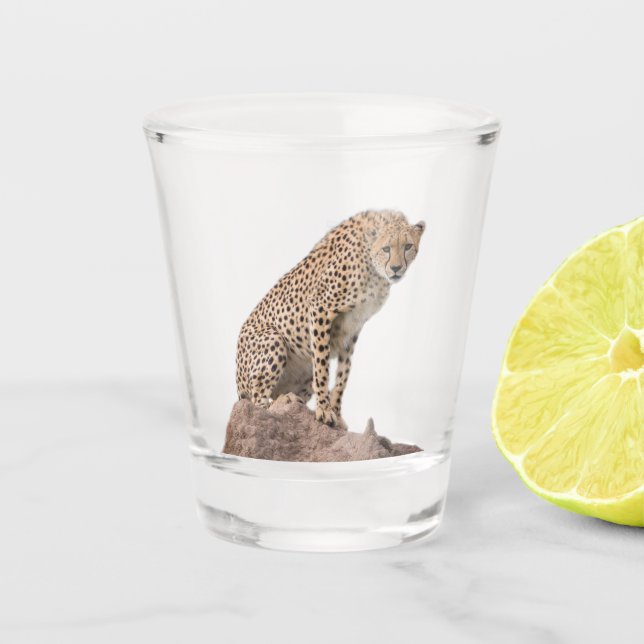 Schöne Cheetah Schönes Cat Foto Schnapsglas (Vorderseite)