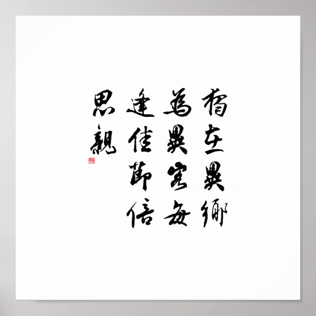 Schöne Chinesische Kalligrafie - verpassen Sie mei Poster (Vorne)