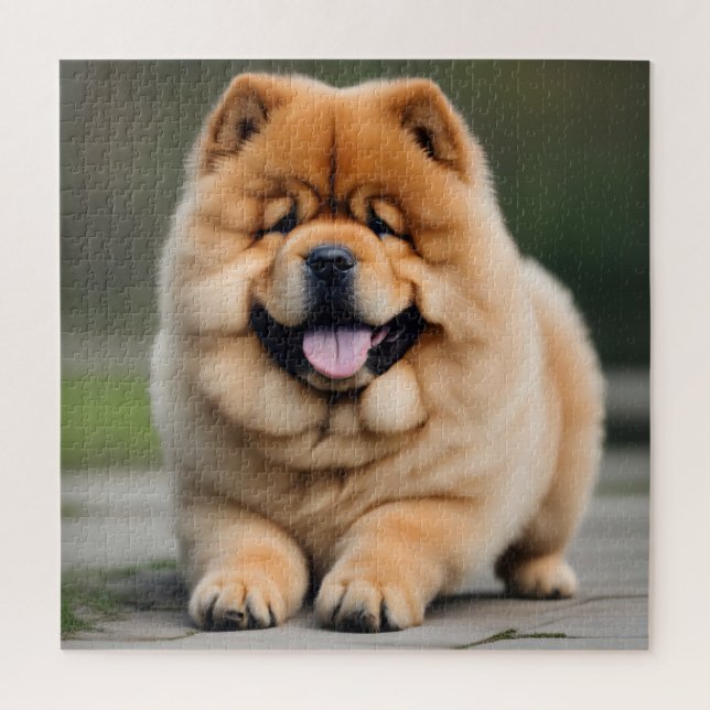 Schöne Chow Chow (Vertikal)