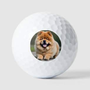 Schöne Chow Chow Golfball