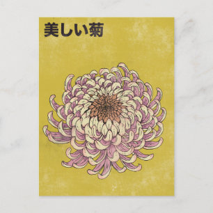 Schöne Chrysantheme Postkarte