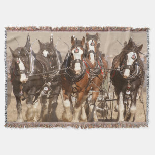 Schöne Clydesdale-Pferde beim Pflügen - Teamarbeit Decke