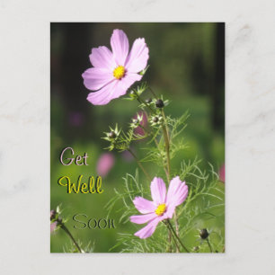 Schöne Cosmea-Blumen Gute Besserung Postkarte