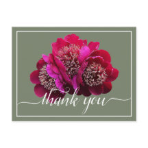 Schöne Crimson Peonies Color Background Vielen Dan