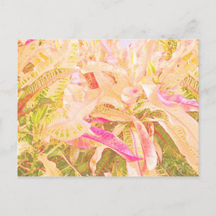Schöne Croton-Blätter (1) Postkarte