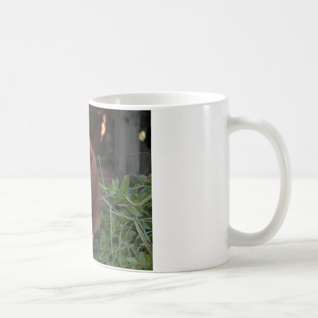 Schöne Dachshund-Jagdhund-Tasse Kaffeetasse (Rechts)
