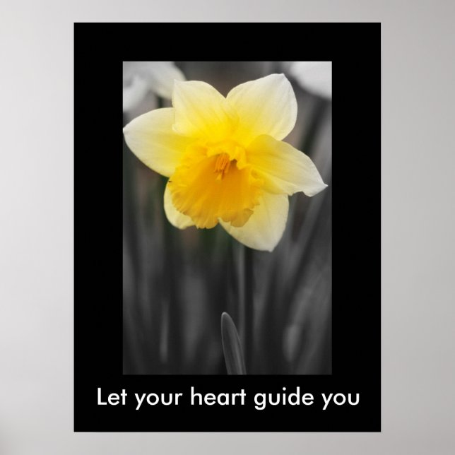 Schöne Daffodil, Value Poster Paper (Matte) (Vorne)
