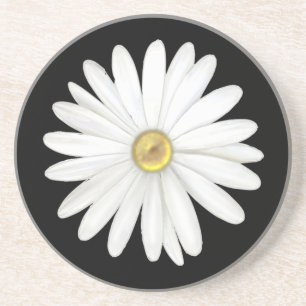 Schöne Daisy-Blume auf Black Getränkeuntersetzer