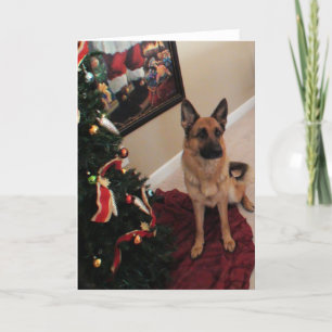 Schöne Deutsche Schäferweihnachtskarte Feiertagskarte