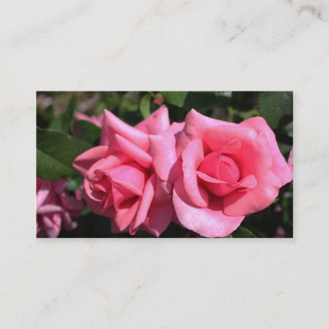 schöne doppelte perfekte heiße rosa Rose Blume Visitenkarte (Vorderseite)