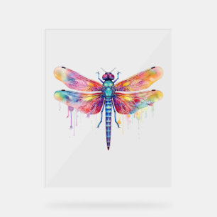 Schöne Dragonfly Kiss Heaven Insecke Lover Acrylschild