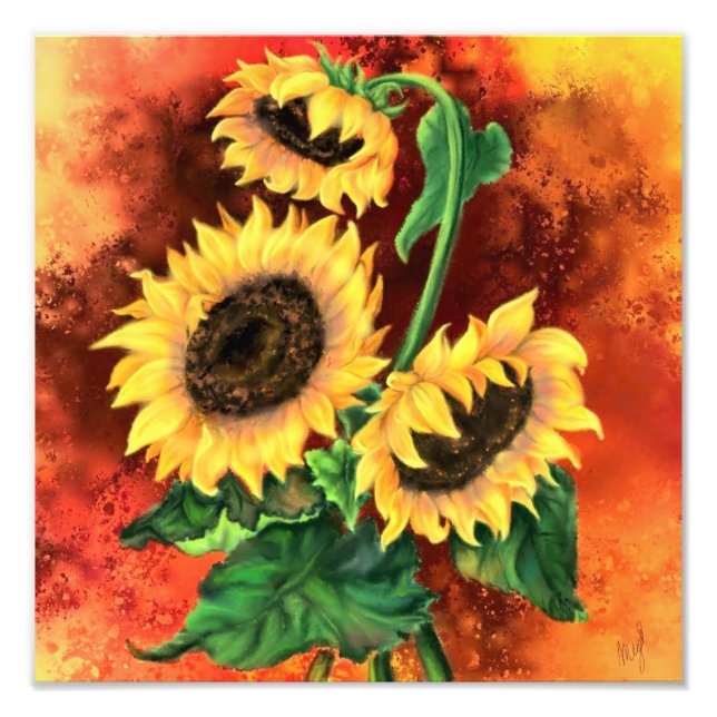 Schöne Drei Sonnenblumen - Malerei Fotodruck (Vorne)