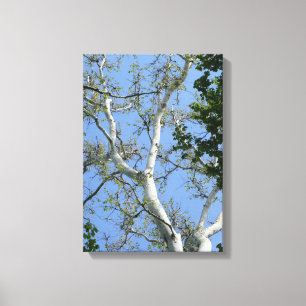 Schöne, einfache Baum- und Himmelskantkunst Leinwanddruck
