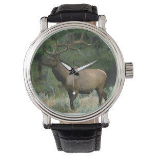 Schöne Elche Armbanduhr