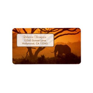 Schöne Elefantenwelt Silhouette & Sonnenuntergang Adressaufkleber