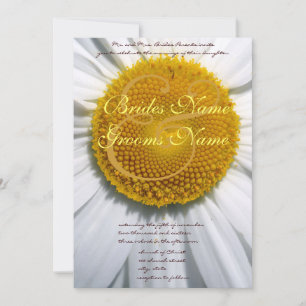 Schöne Elegant Daisy Wedding Einladung